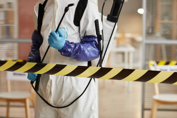Professional Odor Removal technician working in White Cloud, MI